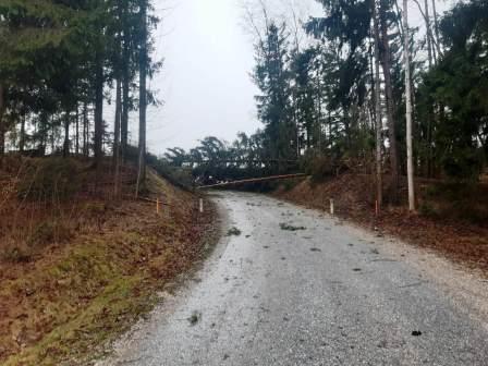 FF Freiwillige Feuerwehr Jagenabch Sturmschaden 4.2