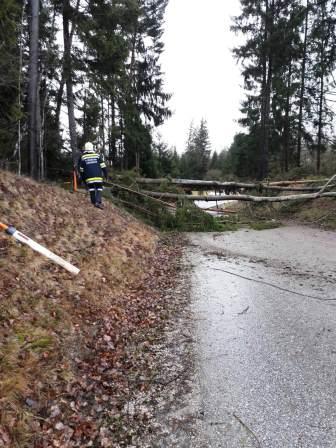 FF Freiwillige Feuerwehr Jagenbach Sturmschaden 4.2