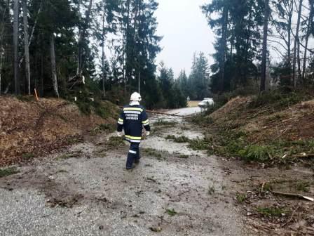FF Freiwillige Feuerwehr Jagenbach Sturmschaden 4.2